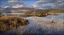 "Rannoch Moor"