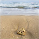 "Rock & Sand Pattern"