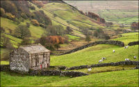 "Swaledale Barn"