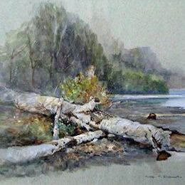 Fallen Pine, Lake Michegan