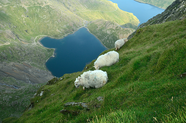 Looking Down at Glaslyn
