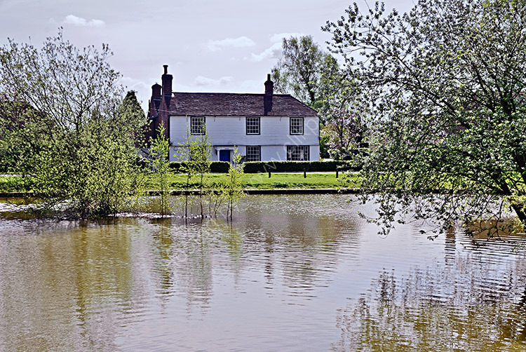 Matfield Duck Pond