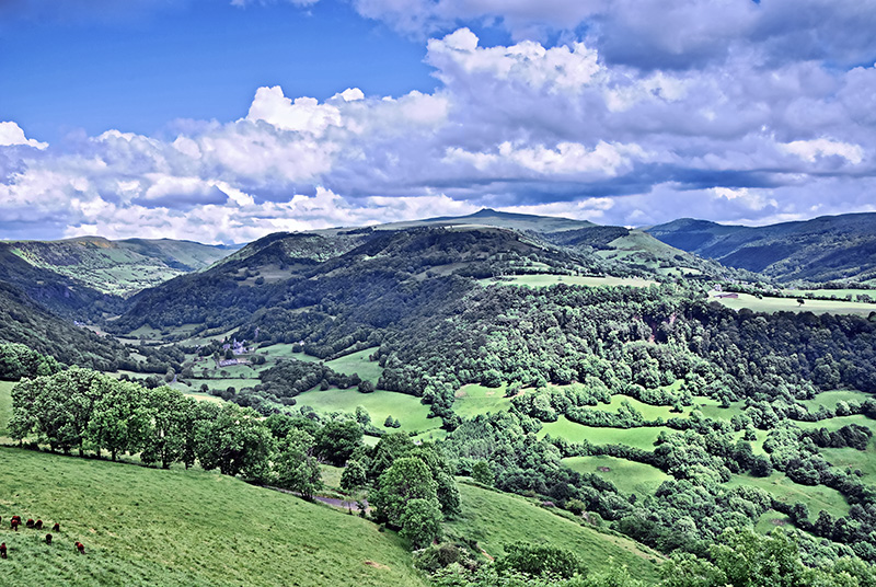 Puy Violent, Cantal, Auvergne