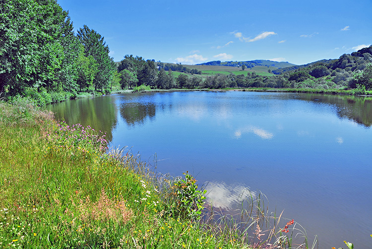 A Lake near Egliseneuve-d'Entraigues