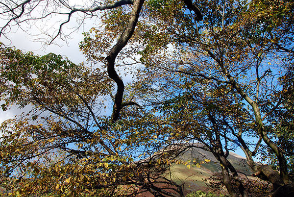 Kirk Fell