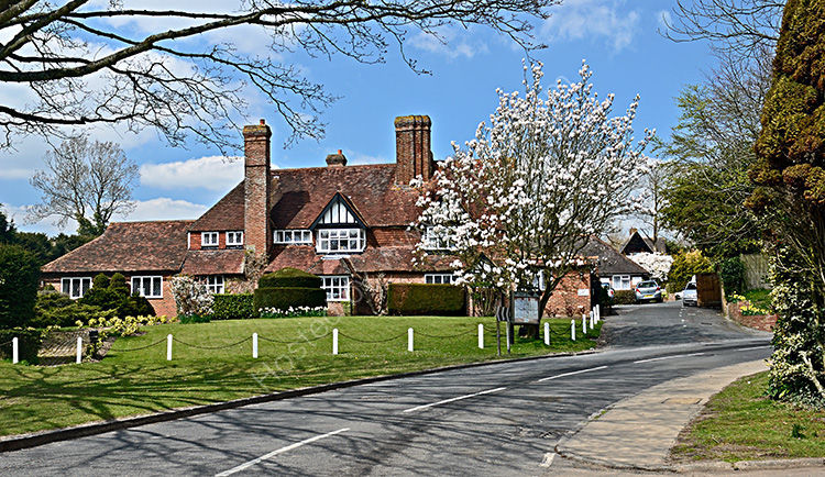 Spring Blossom in Sedlescombe