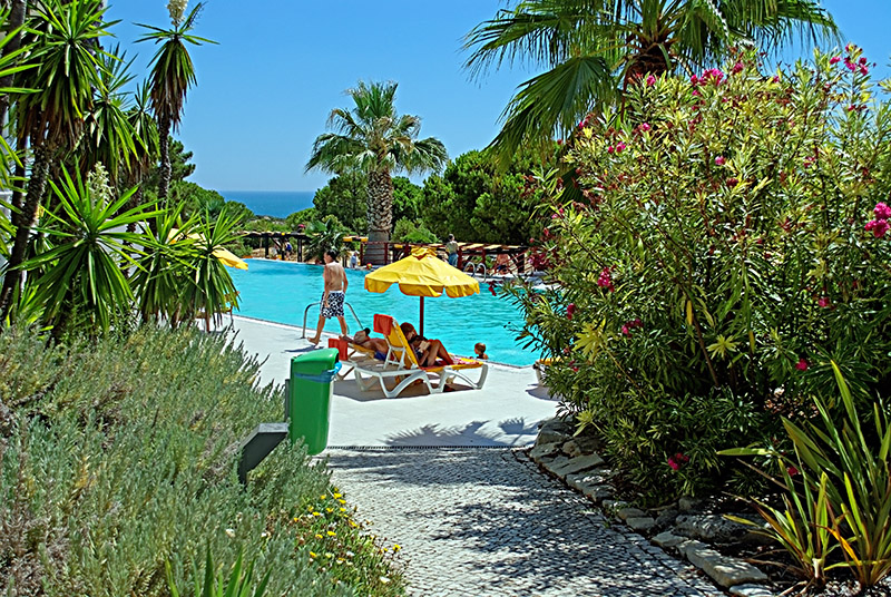 First View of the Swimming Pool