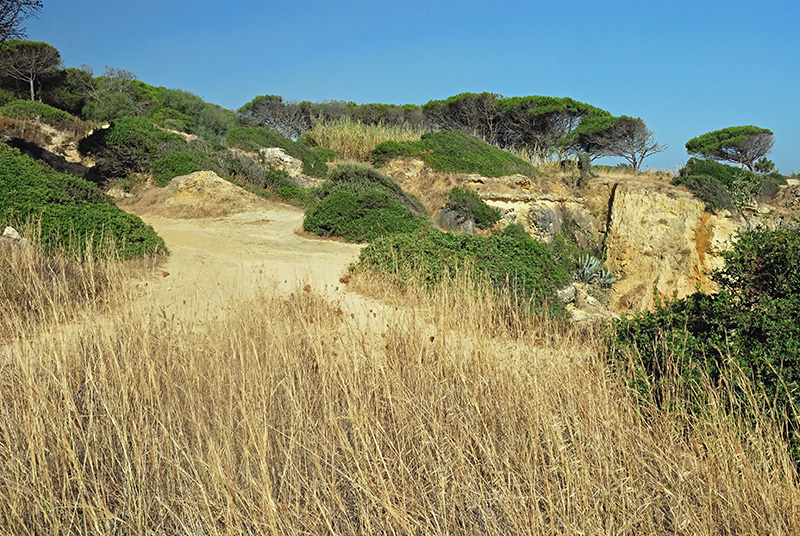 Sandy Clifftop in Portugal