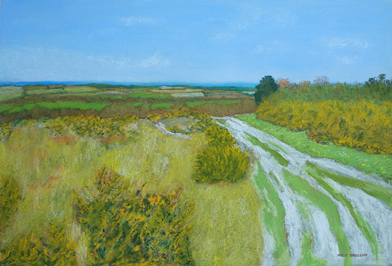 Ashdown Forest