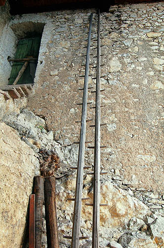 Inside a Limonaia
