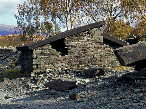 Derelict Cottage