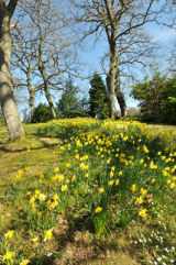 Spring
