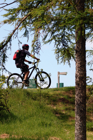 Mountain Biking, at Nant Yr Arian, Wales,UK