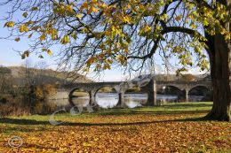 Builth Wells Online