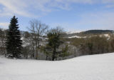 Winter Landscape