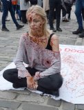 Edinburgh Festival 2018