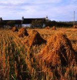 Caithness-Stooks