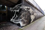 Glasgow Croc