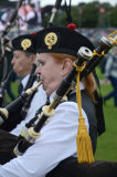 Piper