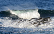 Wave