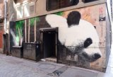 Glasgow Panda