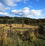 Perthshire-Milton-of-Clunie