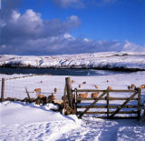 Sutherland-Strathy