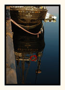 Reflection of a Visitor