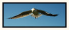 Landing