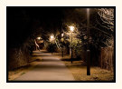 Lighted Way