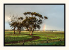 Rainbow Field