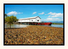 Sugar Wharf Port Douglas