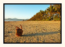 Four Mile Beach Port Douglas