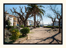 Park to Port