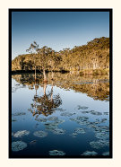 Urunga Wetlands