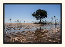 Low Tide