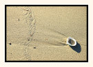 Washed Up