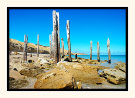 Jetty Ruins II