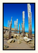 Jetty Ruins I