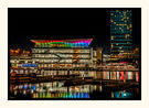 The Marina Reflects