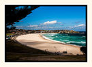 Sunkissed Bondi