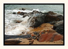 In Coming Tide