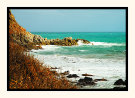 Petrel Cove