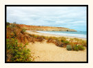 Maslin Beach