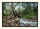 Morialta