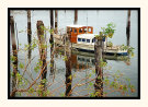Peaceful Mooring