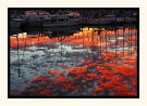 Reflected Sunrise