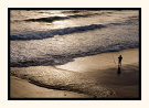 Surf Fishing