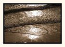 Patterns On The Shore