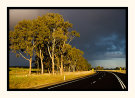 Road To Storm